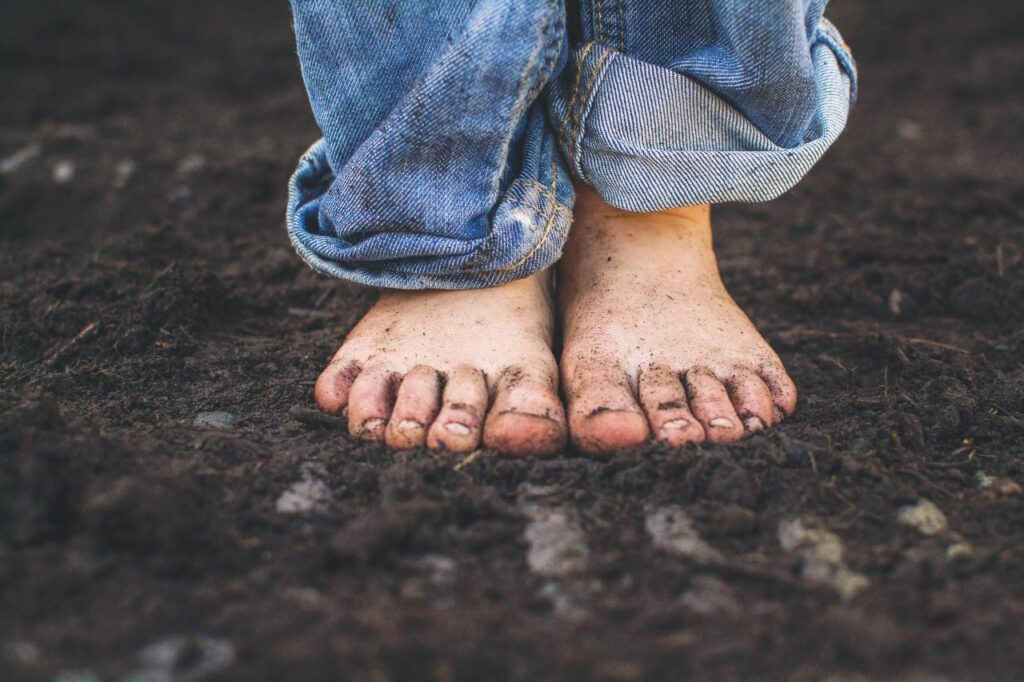 soil
