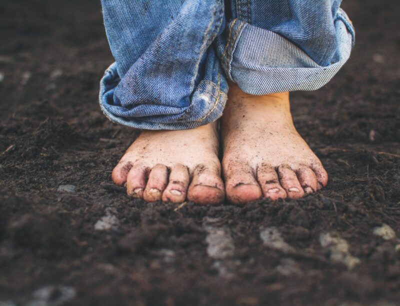 soil