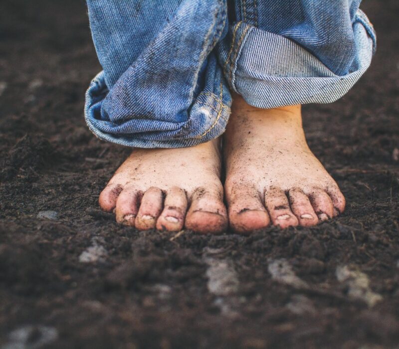 soil