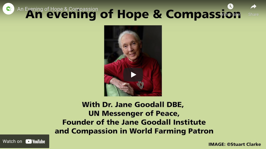 Screenshot 2022 08 10 at 13.01.23