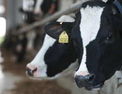 Screenshot 2025 10 17 at 08.37.02