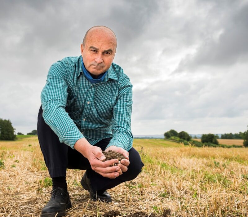 LMlFYL28fGdayxuReaxBiPRdlI