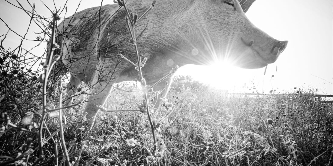 d882ca2d19073768e1607f1c873db9a890c83704 4001x2662