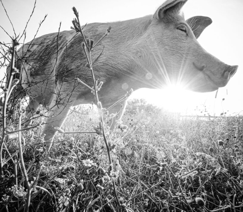 d882ca2d19073768e1607f1c873db9a890c83704 4001x2662