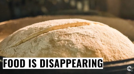 food is disappearing