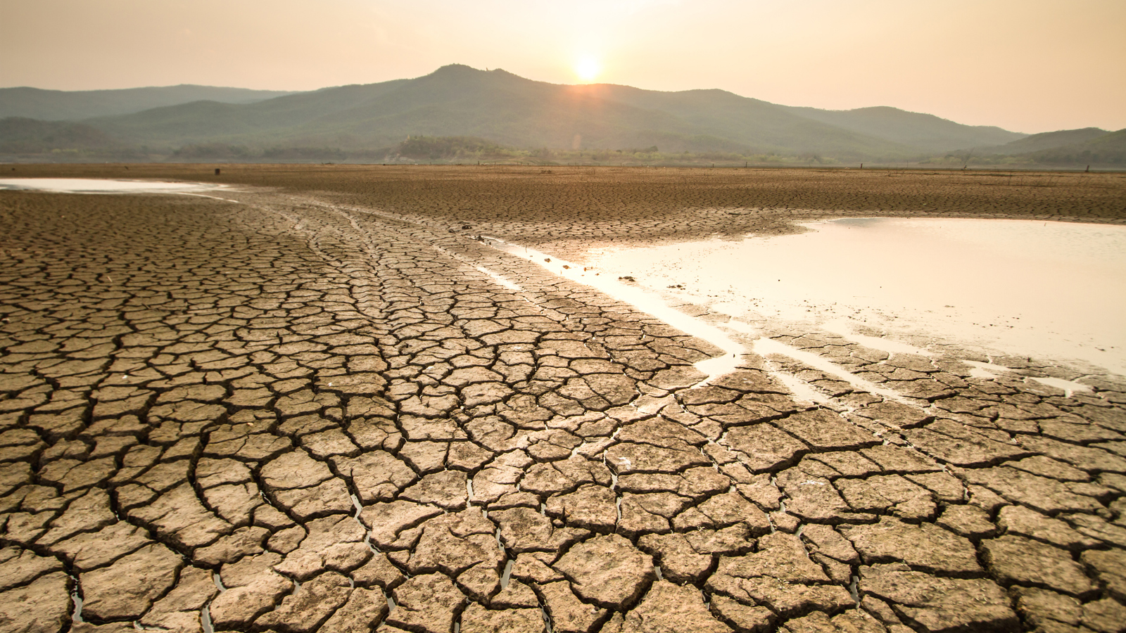 Drought and Climate change impact