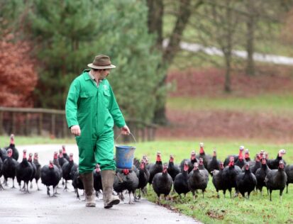 farmer and chickens