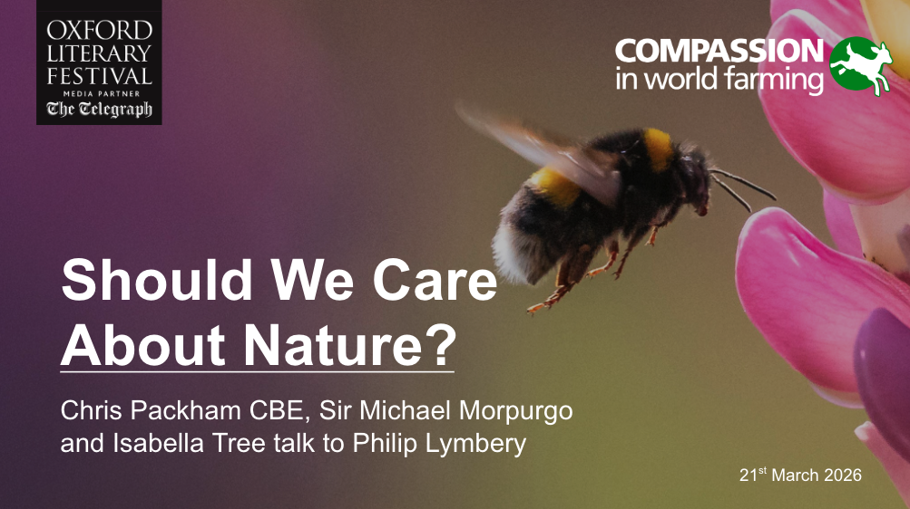 Screenshot 2026 03 27 at 09.38.53