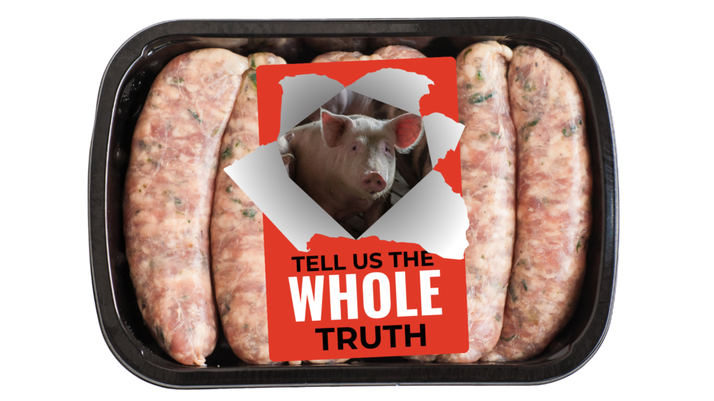 sausages our pig image