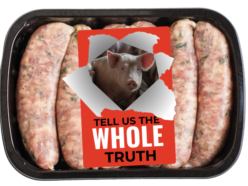 sausages our pig image