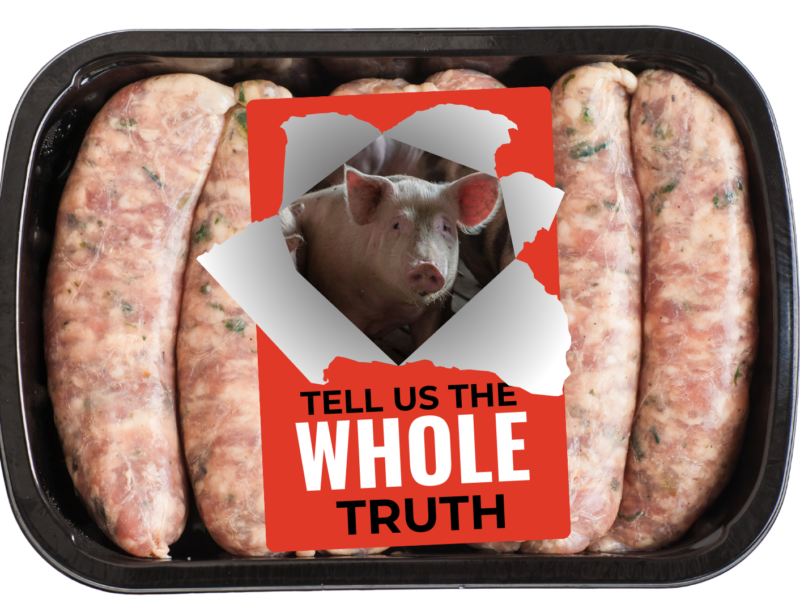 sausages our pig image