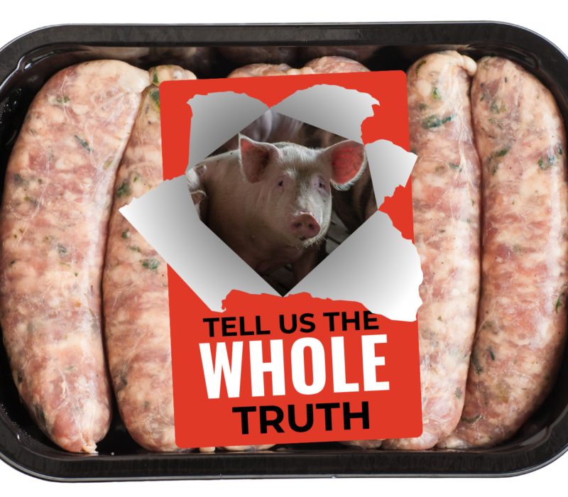 sausages our pig image