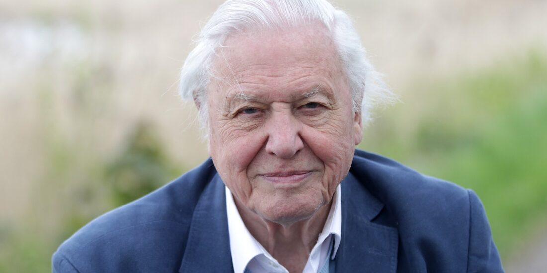 david attenborough