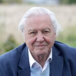 david attenborough