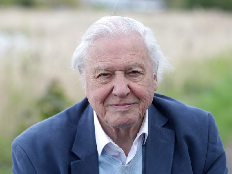 david attenborough