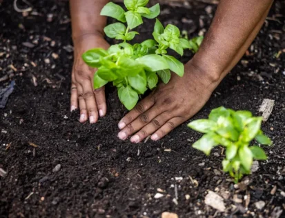 soil climate change