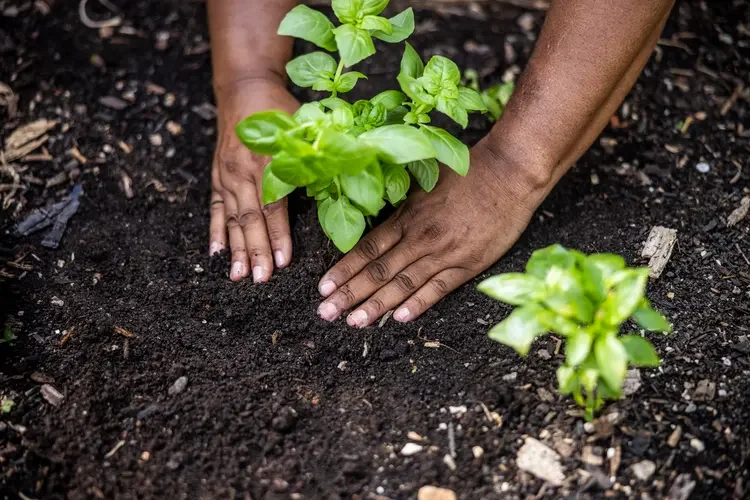 soil climate change